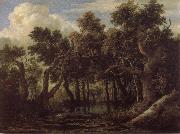 Jacob van Ruisdael Marsh in a Forest Spain oil painting artist